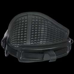Rogue Wingfoil Trapez